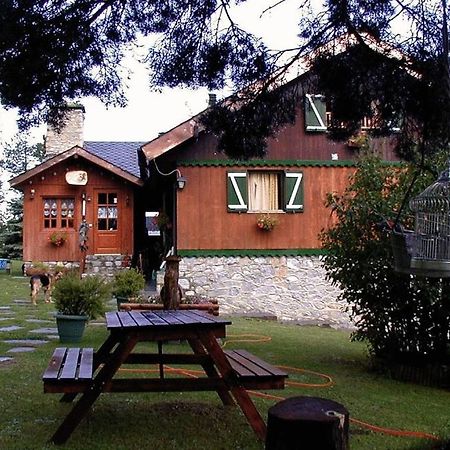 Niu Dels Falcons Bed & Breakfast La Molina  Eksteriør bilde